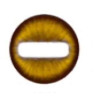 New MY38 BROWN Halloween Contact Eyewear SALE $$